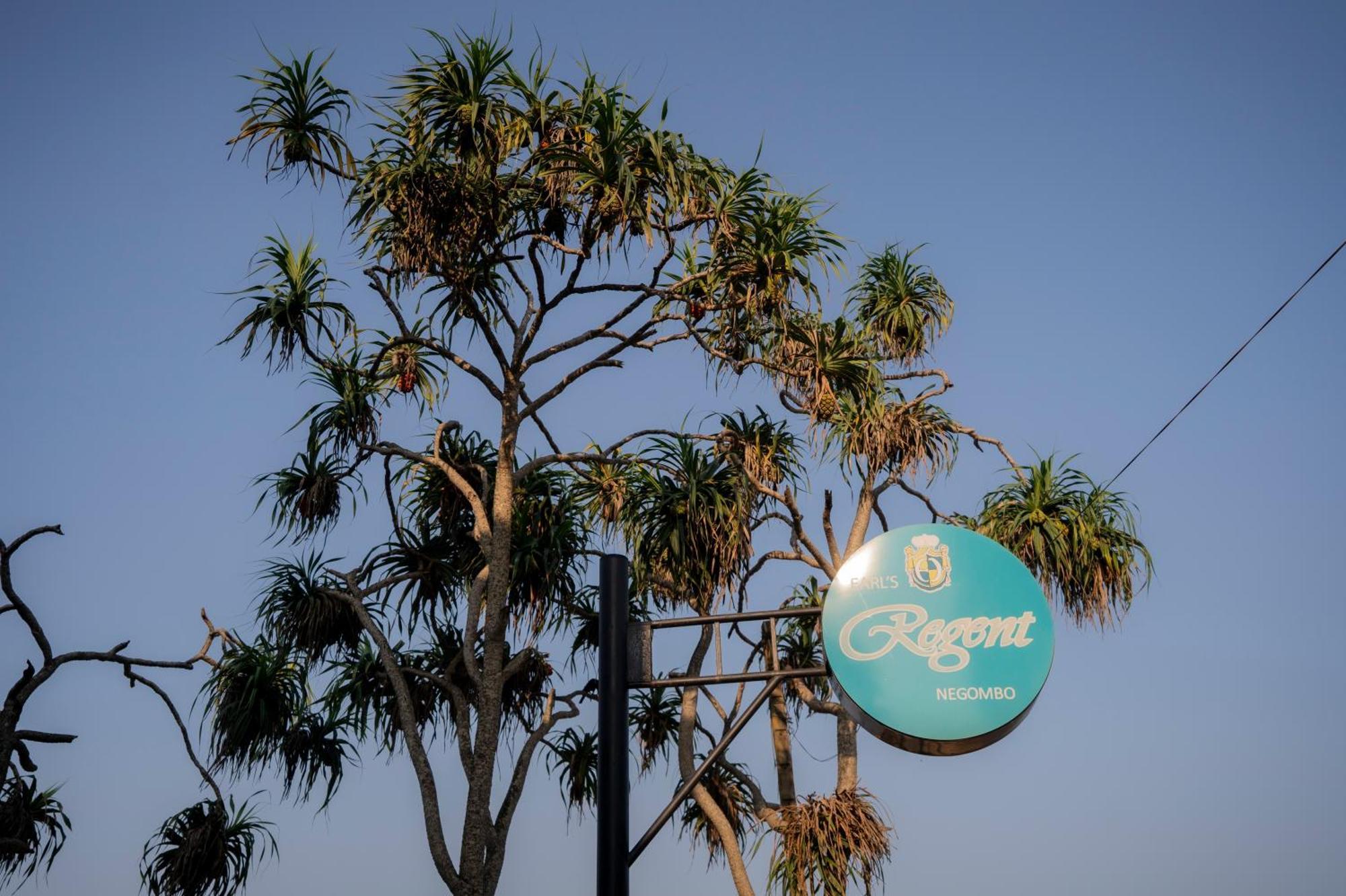 Earl'S Regent Negombo Hotel Ngoại thất bức ảnh